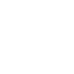 sollarym logo